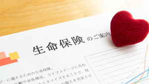 保険見直しアドバイス